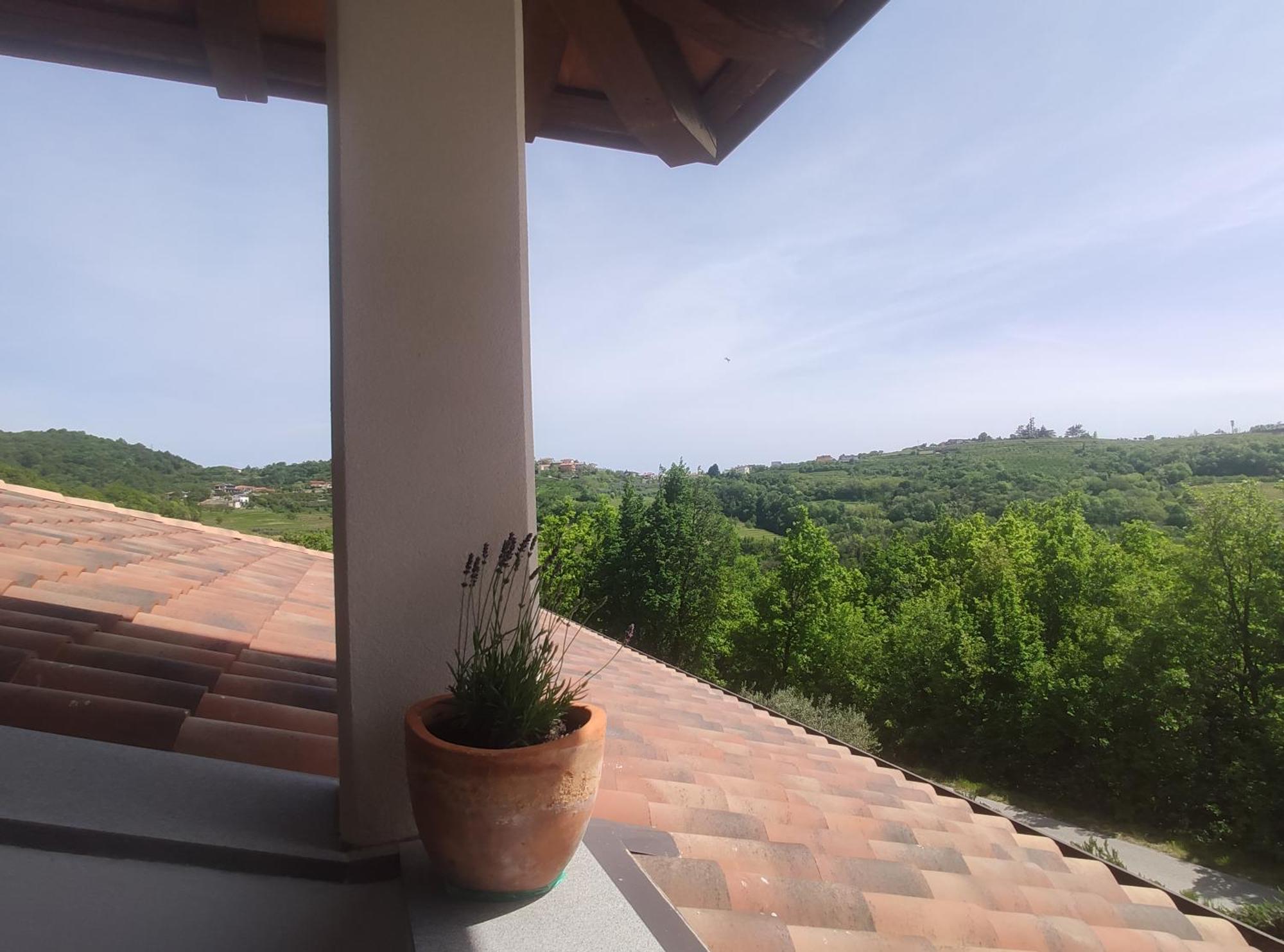Apartma Lavanda Kojsko Bagian luar foto