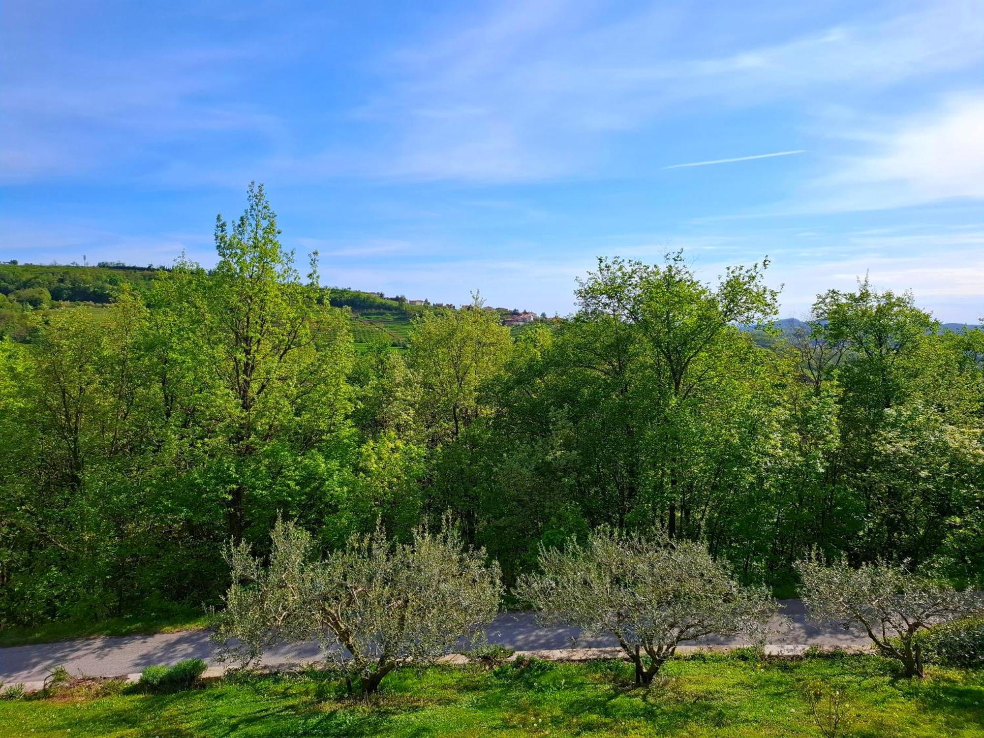 Apartma Lavanda Kojsko Bagian luar foto