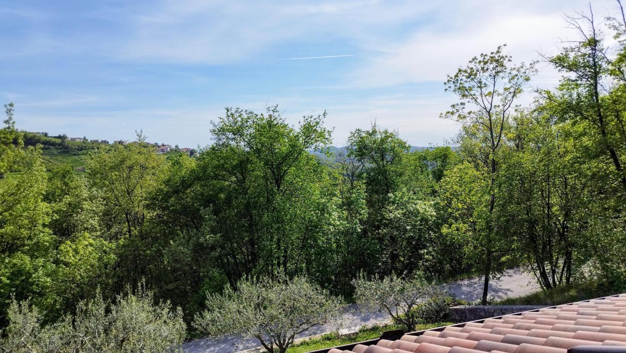 Apartma Lavanda Kojsko Bagian luar foto
